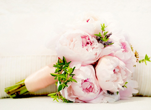 Tặng hoa vợ vui, tiền rơi vào túi - 2