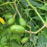 Tặng hoa vợ vui, tiền rơi vào túi - 9