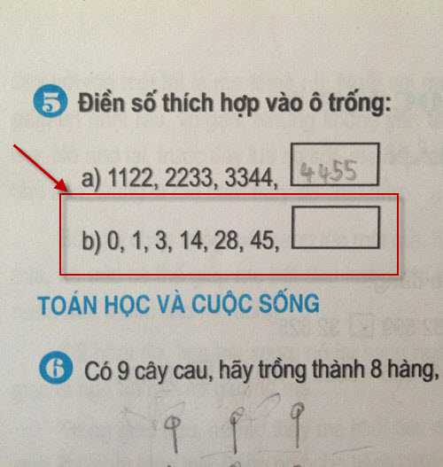 SGK cấp 1: #039;Phụ huynh không thông minh hơn HS lớp 3?#039; - 1