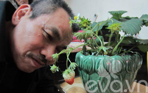 Vườn quê xanh mát trăm hoa đua nở giữa lòng Thủ đô - 17