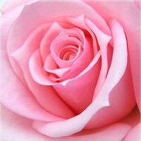 quot;Bắt mạchquot; đặc trưng trang trí nội thất của từng quốc gia - 10