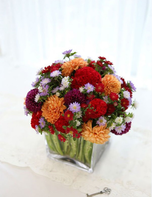 Hà Nội giao mùa, tím sắc lưu ly - 8