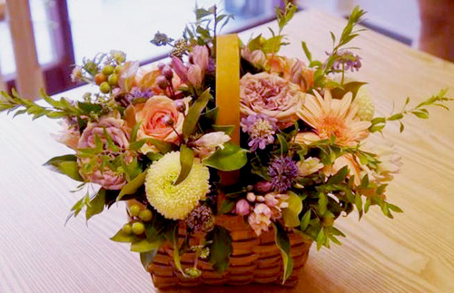 Hà Nội giao mùa, tím sắc lưu ly - 6