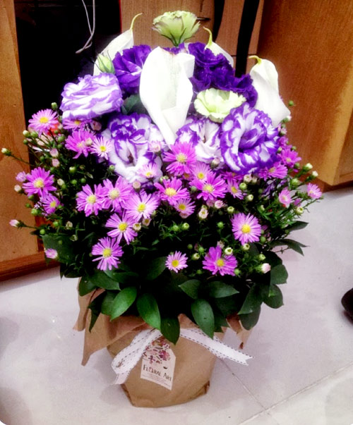 Hà Nội giao mùa, tím sắc lưu ly - 9