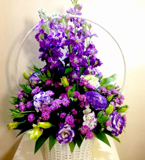 Hà Nội giao mùa, tím sắc lưu ly - 7