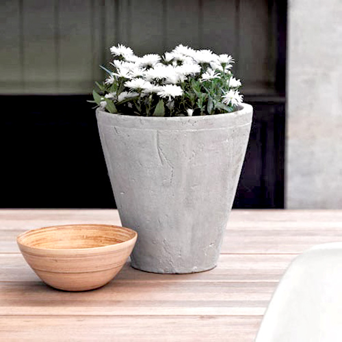 Hà Nội giao mùa, tím sắc lưu ly - 11