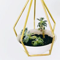 Tự làm khỉ nhắc việc xinh xắn cho con gái yêu - 17