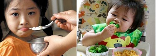 quot;Cânquot; 2 cách ăn dặm kiểu Nhật và ăn dặm truyền thống - 1