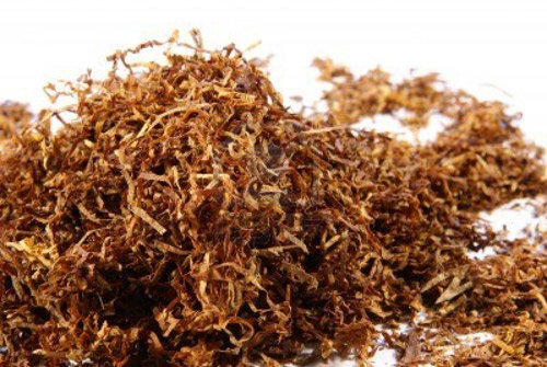 5 cách tự nhiên đuổi nhện ra khỏi nhà - 5