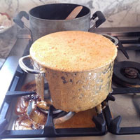 5 cách tự nhiên đuổi nhện ra khỏi nhà - 9