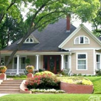 Bí kíp trồng 8 loại rau củ dễ tìm, sẵn có - 5