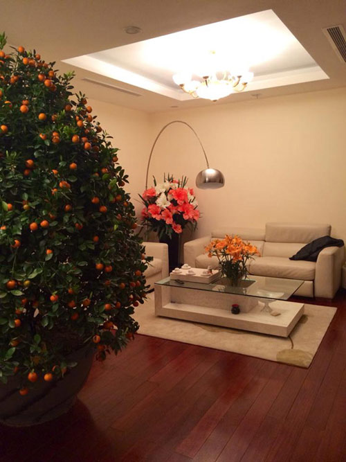 Nhà đắt giá của 3 nam ca sĩ điển trai đất Hà Thành - 6