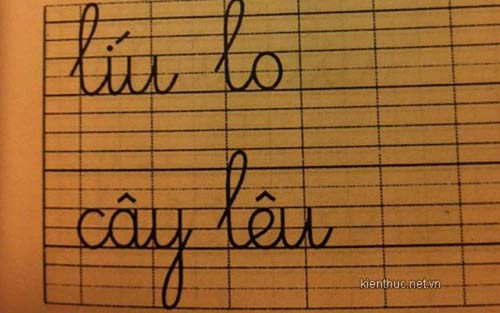 Ngán ngẩm những lỗi sai ngớ ngẩn trên sách - 5