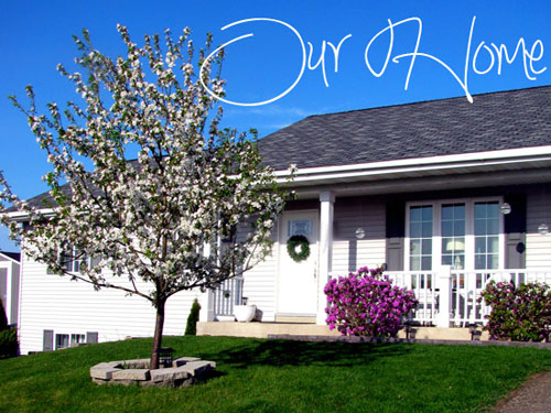 Cuộc sống của quot;Người phụ nữ ngăn nắp nhấtquot; trên Internet - 6