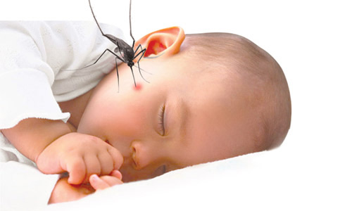 Mẹo hay xoa dịu vết đốt, cắn của côn trùng - 1