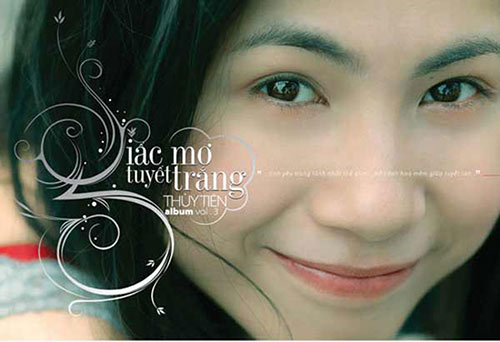 Những bước chuyển mình ngoạn mục của sao Việt - 5