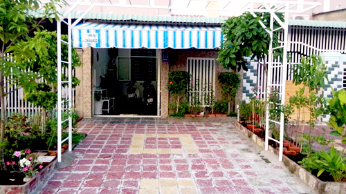 Vườn nhỏ ngập tràn 20 loài hoa ở Kiên Giang - 1