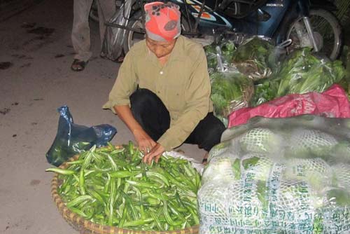Giật mình quy trình biến rau Trung Quốc thành rau nội - 1