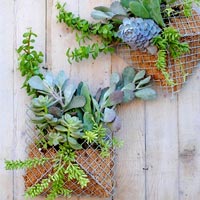 Học làm thú giống bằng giấy xoắn đơn giản - 15