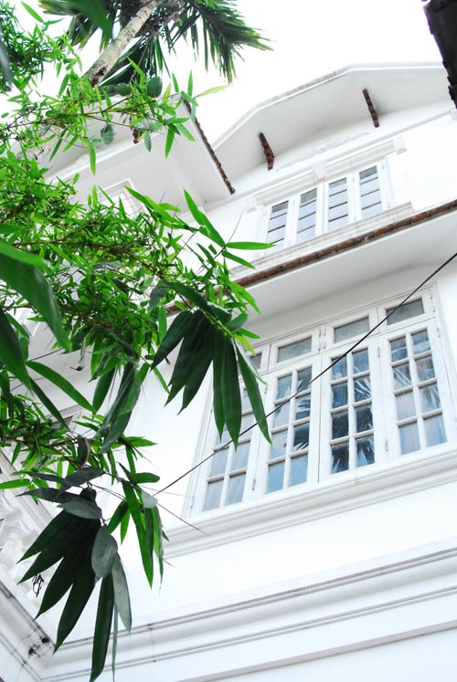 Nhà vườn trắng tinh khôi nổi bật triền đê sông Hồng - 2