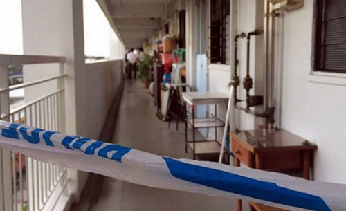 Một phụ nữ Việt bị sát hại tại Singapore - 2