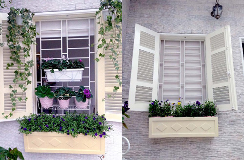 quot;Vườn thiên đườngquot; tuyệt đẹp trong ngõ nhỏ Thủ đô - 15