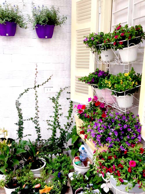 quot;Vườn thiên đườngquot; tuyệt đẹp trong ngõ nhỏ Thủ đô - 10