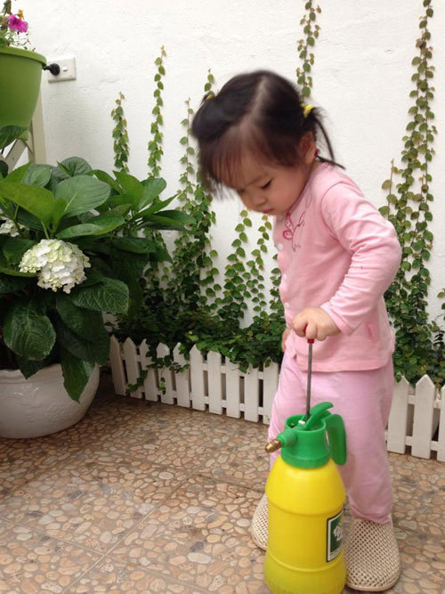 quot;Vườn thiên đườngquot; tuyệt đẹp trong ngõ nhỏ Thủ đô - 11