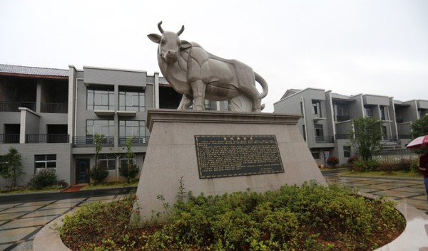 Đại gia bỏ trăm tỷ xây biệt thự cho người nghèo - 3