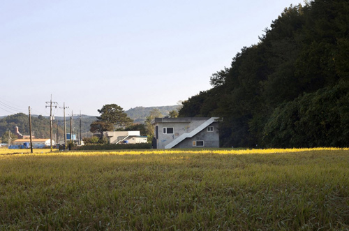 quot;Nhà khoquot; lãng mạn của vợ chồng son giữa cánh đồng lúa chín - 2