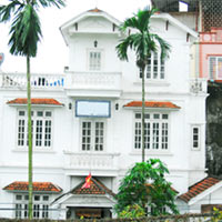 Người mẹ đảm đang trồng rau sạch chữa bệnh vặt cho cả nhà - 17