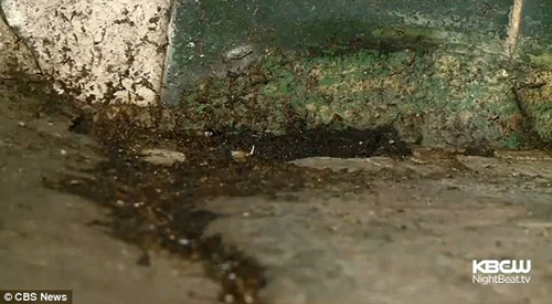 Kinh hãi cách rã đông thịt trên vỉa hè của nhà hàng TQ - 3