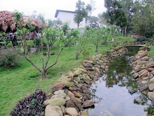 Thu Phương, Mỹ Linh thích thú trồng rau sạch tại nhà - 4