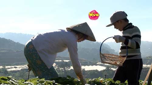 Bố ơi...: Minh Khang mượn danh “chồng Thuý Hạnh” để xin tiền - 4