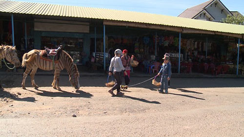 Bố ơi...: Minh Khang mượn danh “chồng Thuý Hạnh” để xin tiền - 8