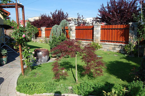 Mảnh vườn Việt đáng ngưỡng mộ trên đất Hungary - 1