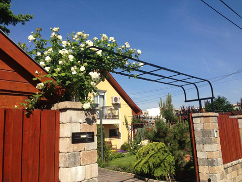 Mảnh vườn Việt đáng ngưỡng mộ trên đất Hungary - 2
