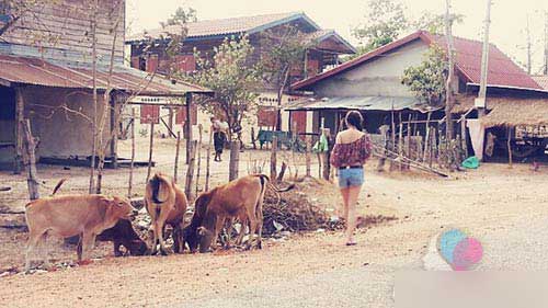 Những ông bố, bà mẹ gây sốt mạng xã hội Việt 2014 - 9
