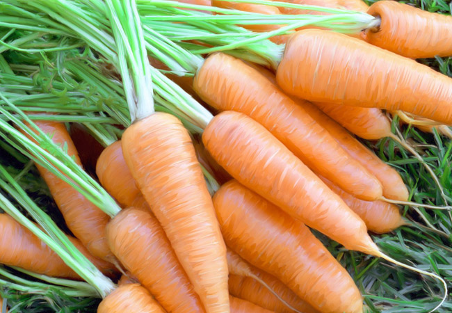 Cà rốt

Không chỉ giúp cải thiện tầm nhìn, củ cà rốt cũng chứa lượng calo thấp, 100 gram cà rốt chỉ chứa 41 calo.
