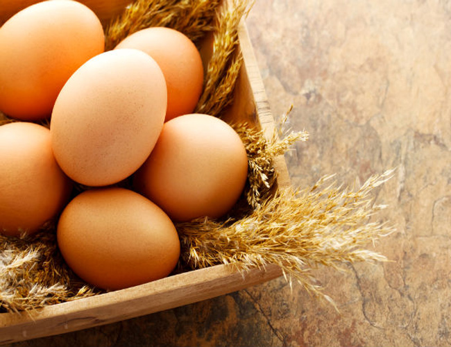 Trứng tái sống

Rất nhiều người có sở thích ăn trứng tái nhưng nó không phải là món ăn lý tưởng trong những tháng đầu thai kỳ. Với bất cứ món ăn gì có kèm trứng hoặc thực phẩm được làm từ trứng cũng cần được chế biến chín trước khi ăn.


