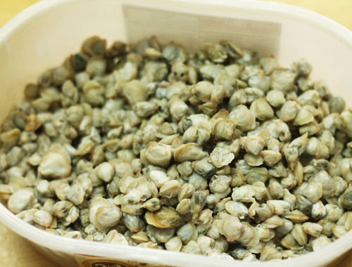 Hương vị miền Trung trong hến xúc bánh đa - 3