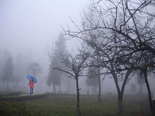 Cuối tuần: Nhiệt độ tăng nhẹ nhưng vẫn rét - 1