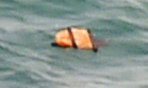 Indonesia đính chính mới vớt được 3 thi thể nạn nhân QZ8501 - 14