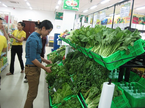 Cách đơn giản để biết rau quot;ngậmquot; hóa chất hay không - 1