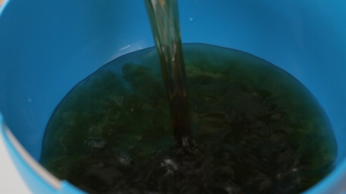 Tôm hấp đơn giản mà ngon miệng - 4