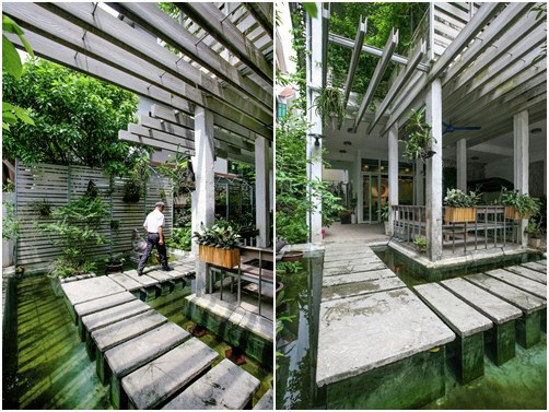 HN: Biệt thự xanh từ ngoài vào trong khiến báo Tây mê đắm - 3