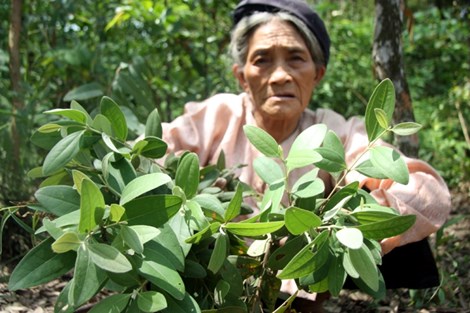 Gặp lại cặp vợ chồng duy nhất giữ tục ăn đất cổ xưa - 6
