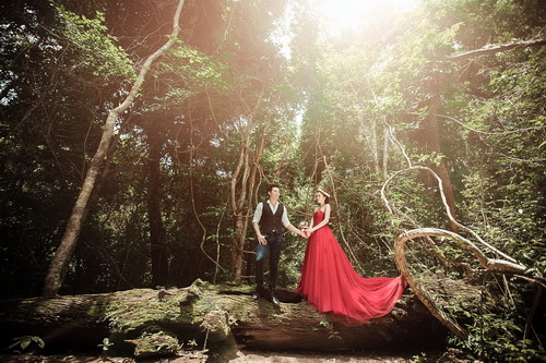 Siêu mẫu Ngọc Tình chụp ảnh cưới trong rừng sâu - 6