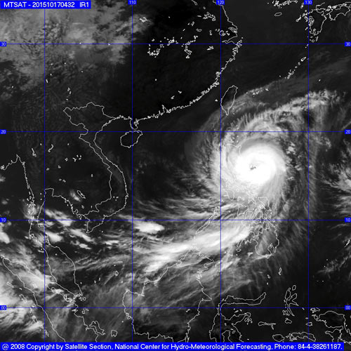 con bao so 5  tin moi bao koppu