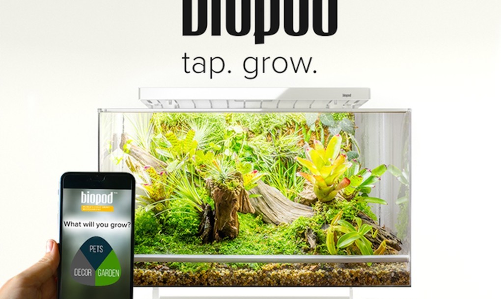 Trồng cả rừng rau tại nhà dễ dàng bằng điện thoại di động - 2